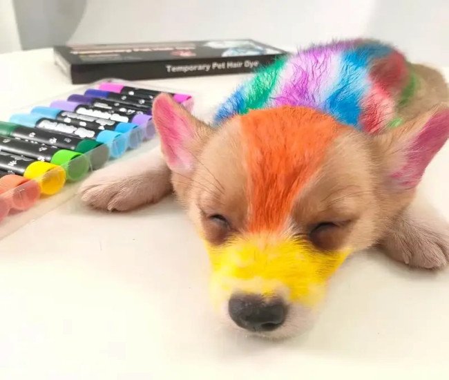 12 Colors Dog Hair Dye, Washable Pet Hair Dye Pens, Temporary Color Dog Hair Dye, Non-Toxic and Washable Pet Hair Dye, for Dogs and Cats Grooming
