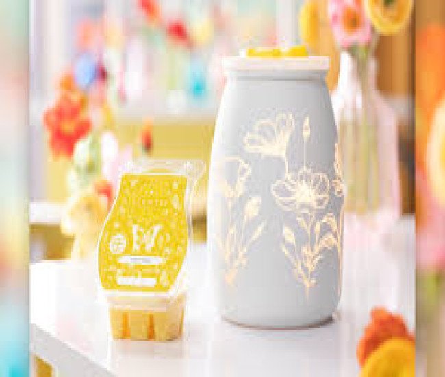 SCENTSY IS HERE click below for amazing deals 