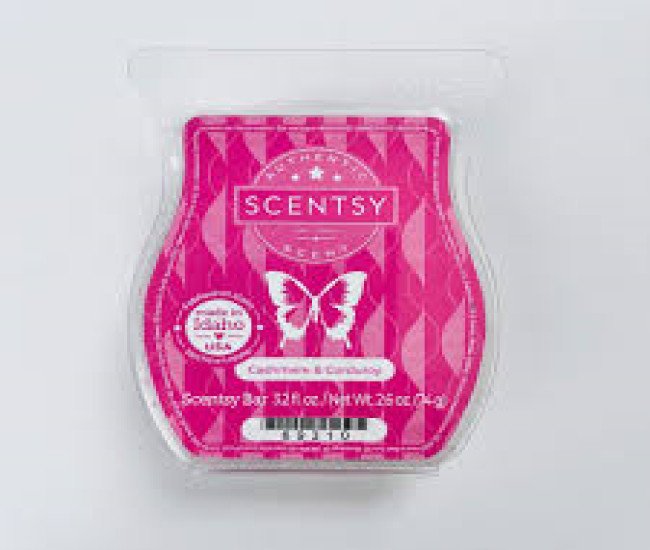 SCENTSY IS HERE click below for amazing deals 