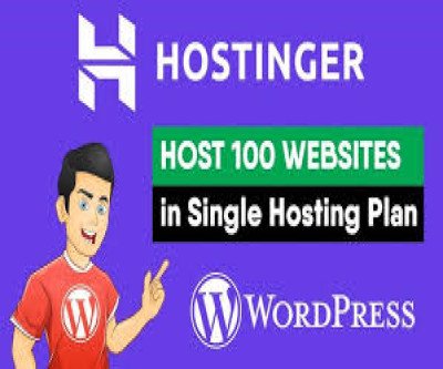 Hostinger is one of the most popular web hosting providers